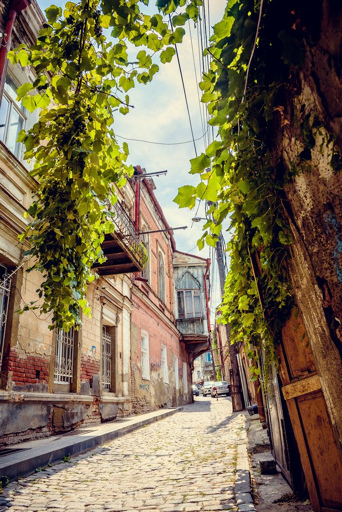 Photograph by Инна Толстореброва