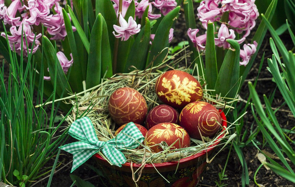 Photograph by Анна Евдокименко