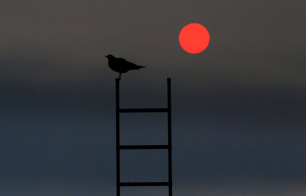 Фотография автора Jadranka Mamić