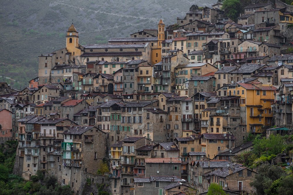 Photograph by Николай Пузанкевич