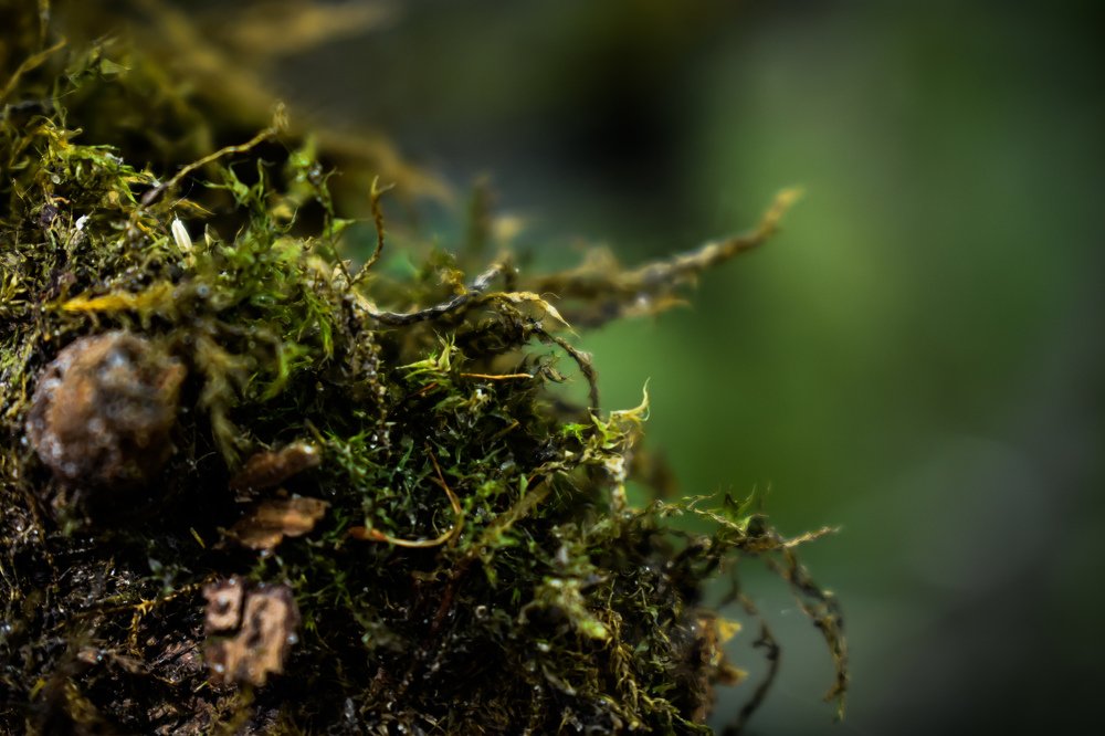 Photograph by Руслан Круглов