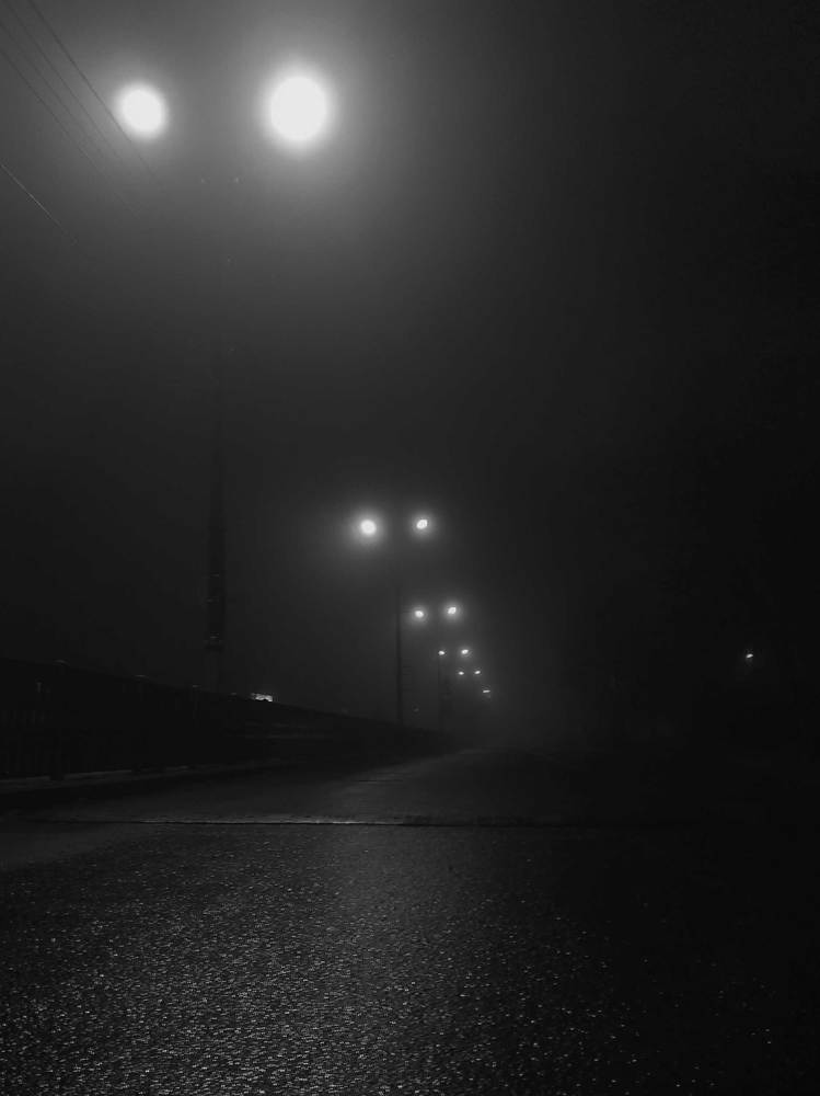 Фотография автора Роман Борисов