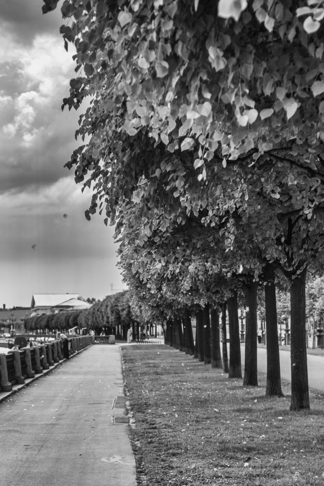 Фотография автора Роман Борисов