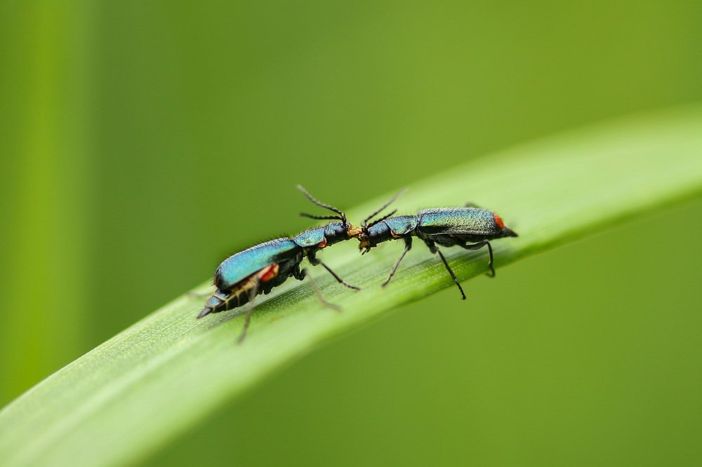 Photograph by Наталья Гайдукевич