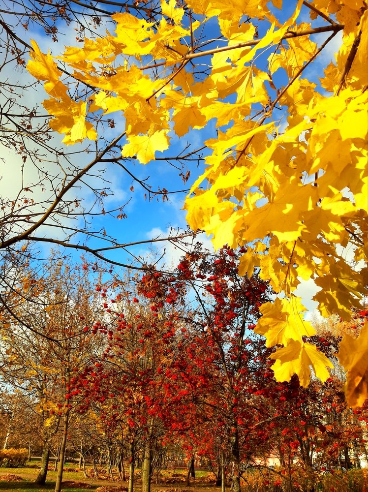 Осенние краски