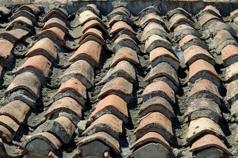 Photograph by Лис Ната