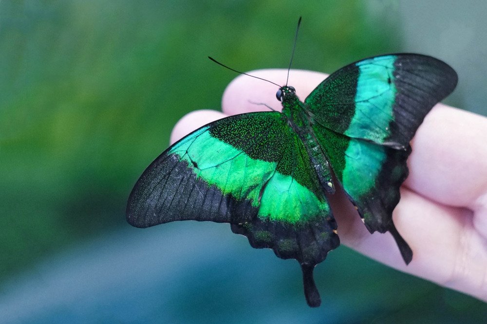 Photograph by Мария Причиненко