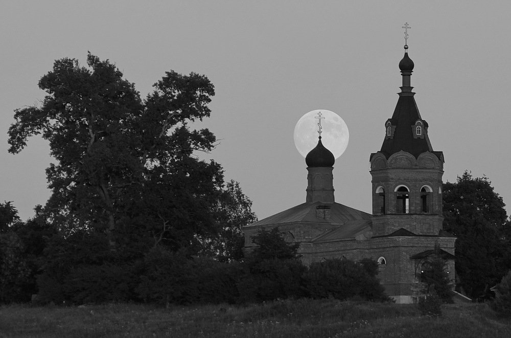 Photograph by Суетинов Евгений