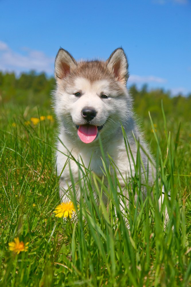 Photograph by Ирина Богатырева