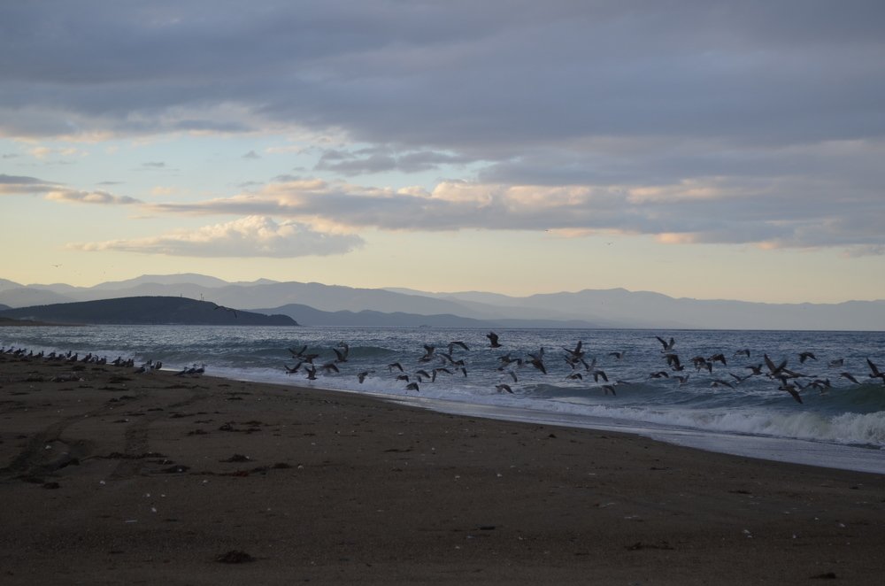 Photograph by Екатерина