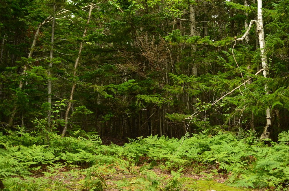 Photograph by Екатерина