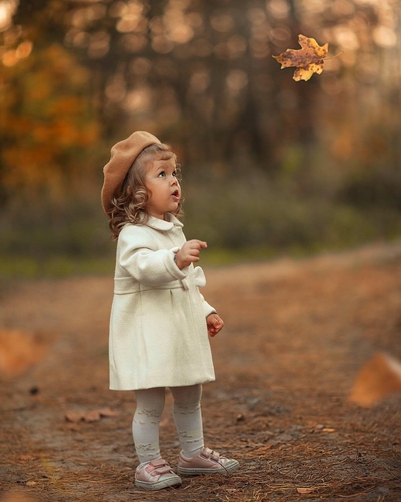 Let's Catch A Falling Leaf