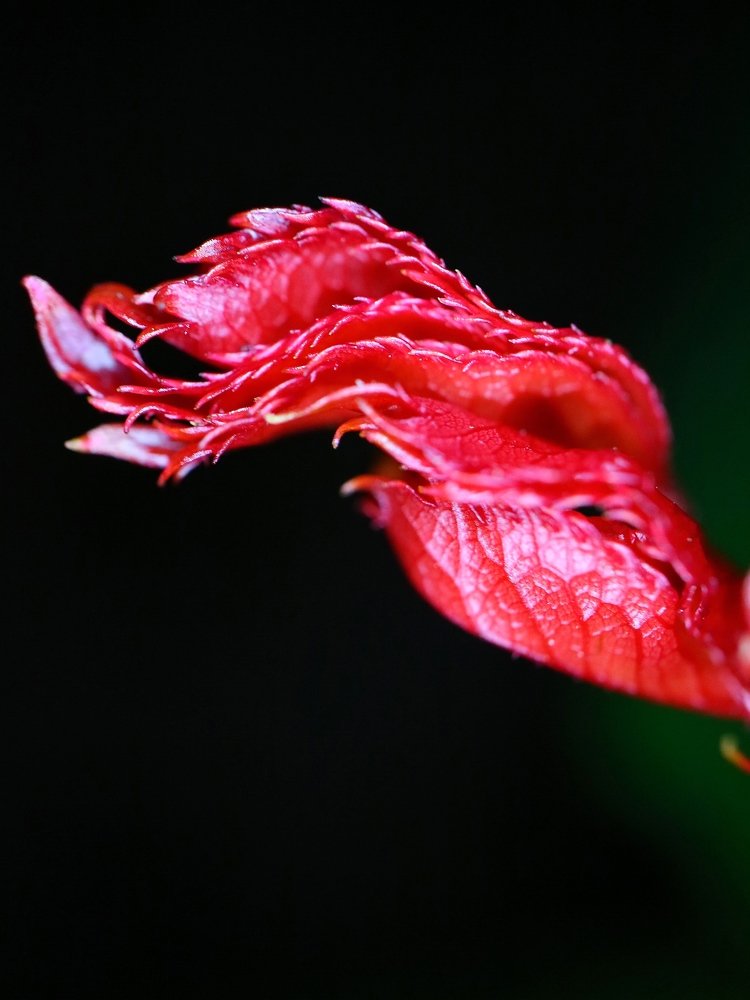 Фотография автора Виталия Латаш