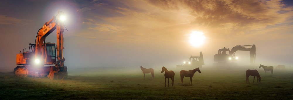 Кони живые, кони стальные