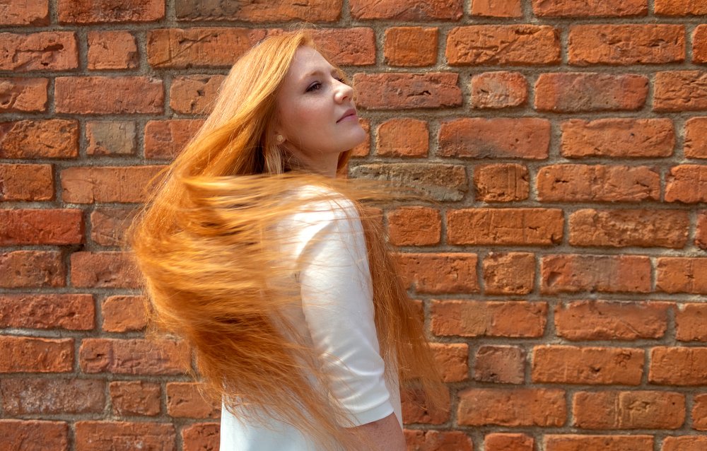 Another Brick In The Wall