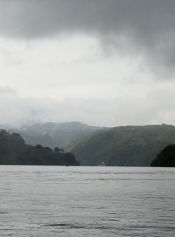 Photo #3773630