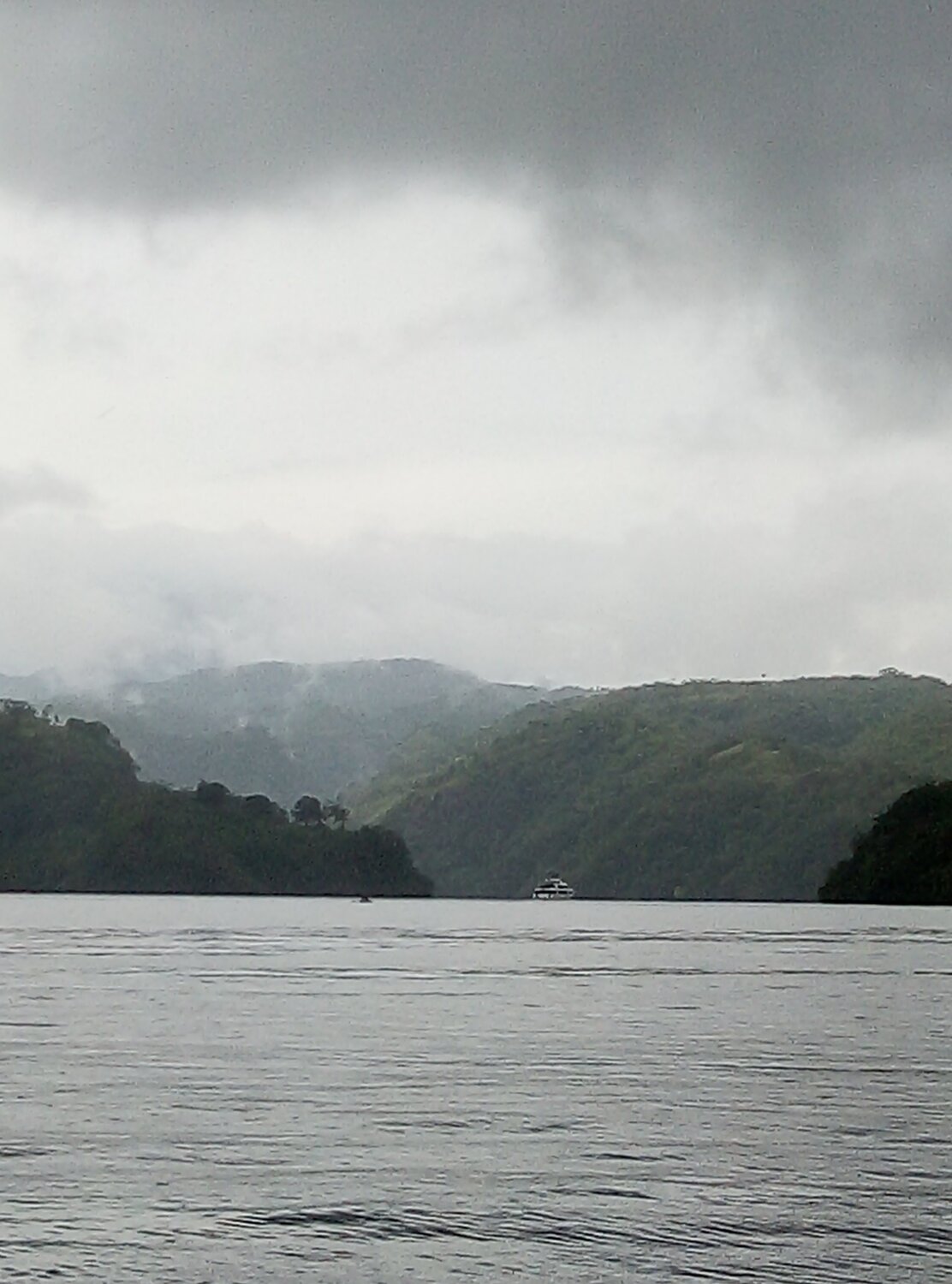 Photo #3773630