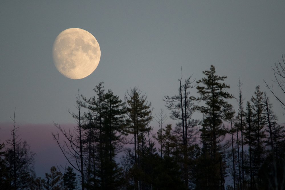 Photograph by Khangaikhuu Purevragchaa