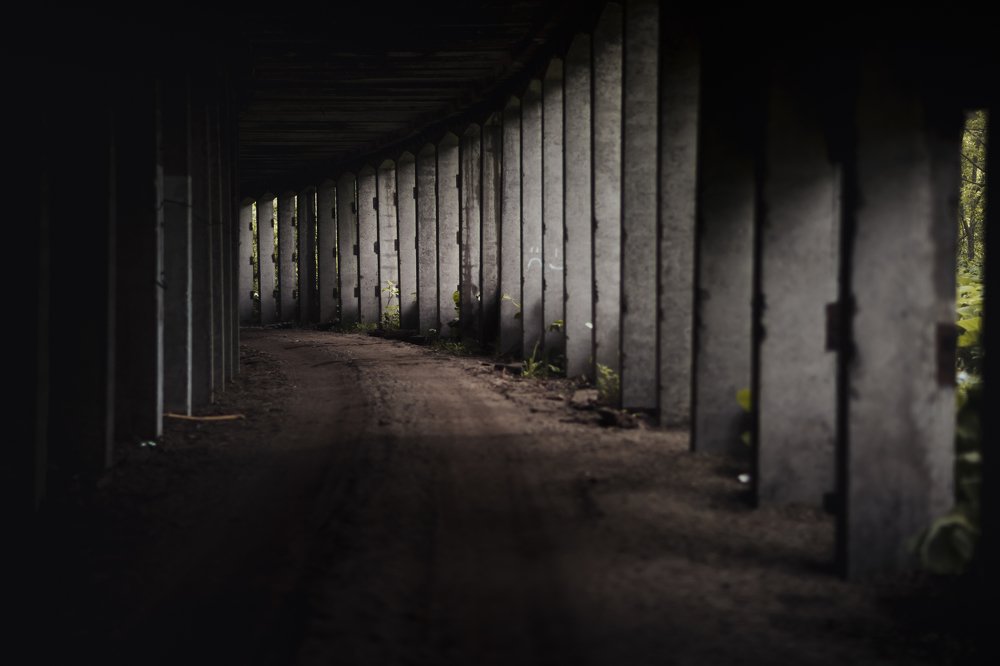 Photograph by Леонид Игнатов