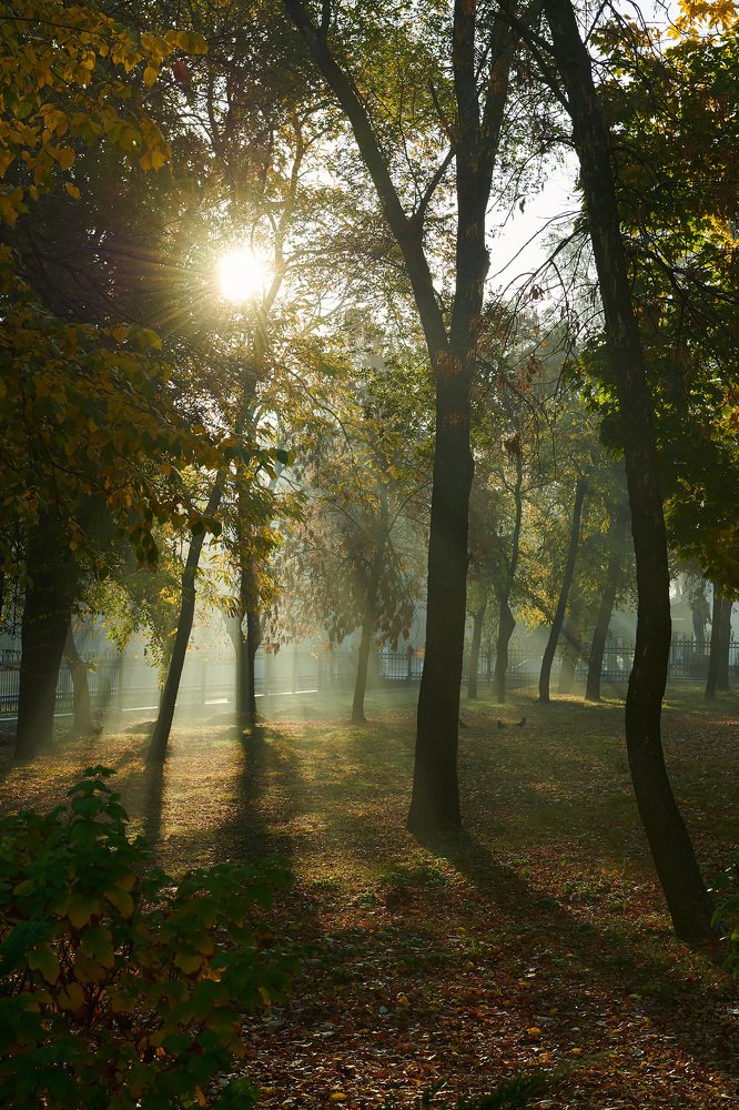 Photograph by Городничев Сергей