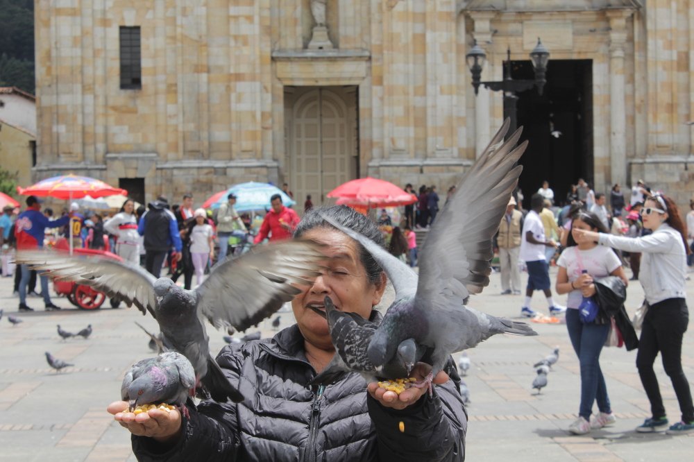 Фотография автора Joan sebastián Gonzalez Joven