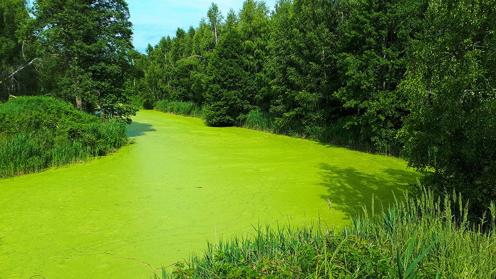 Photograph by Михаил Рассказ