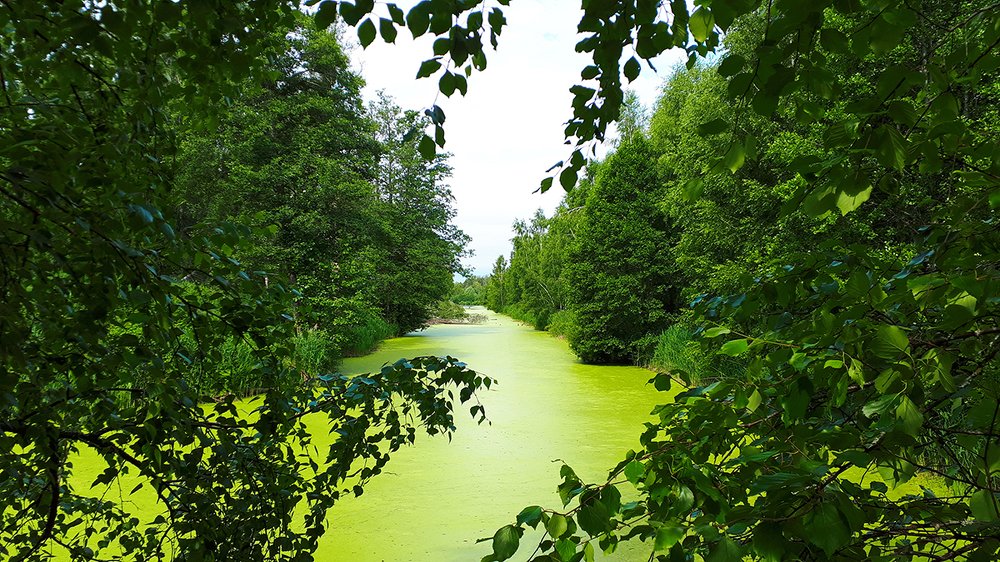 Photograph by Михаил Рассказ