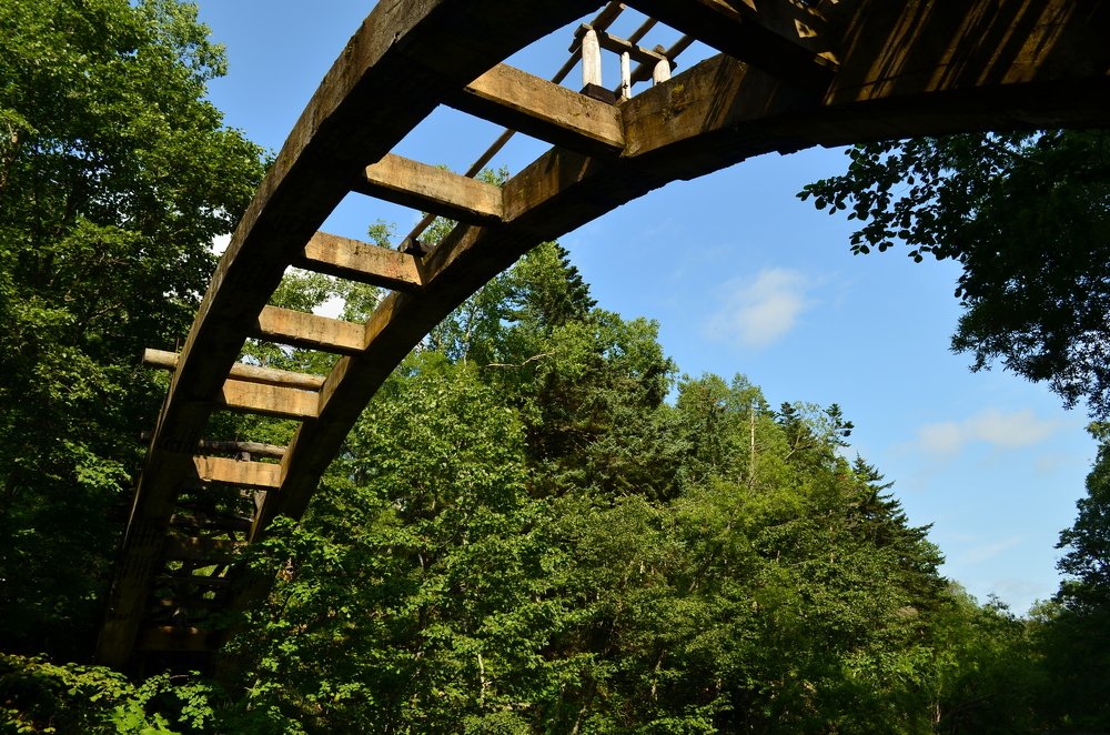 Photograph by Екатерина