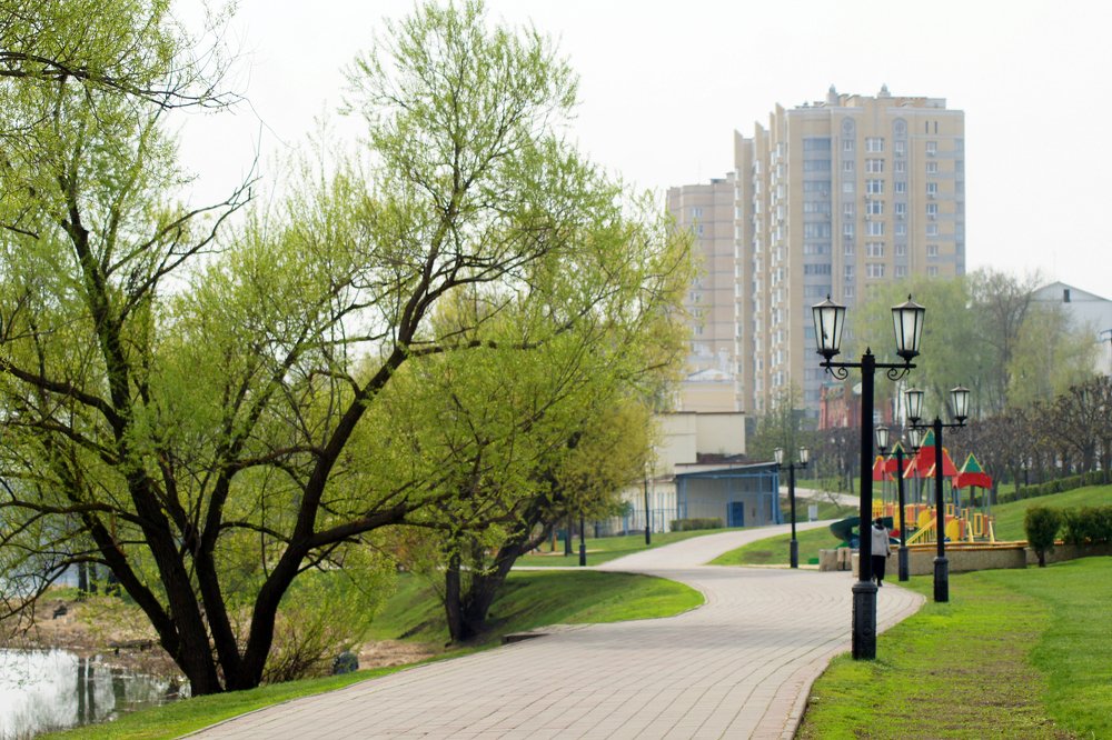 Весеннее утро