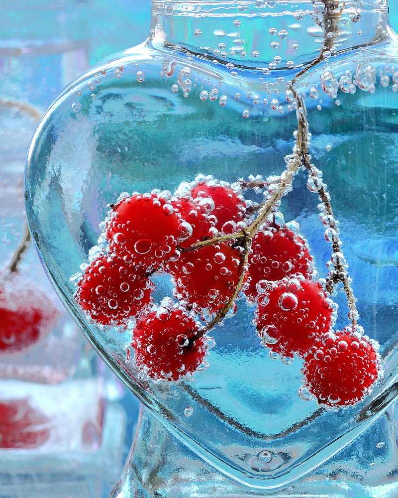 Веточка калины