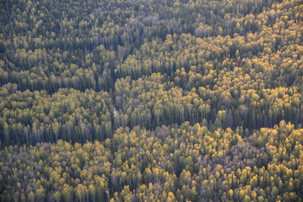 Photograph by Андрей Грибов