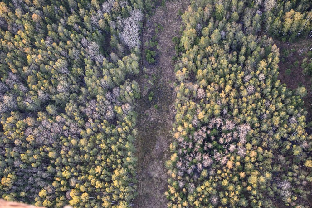 Photograph by Андрей Грибов