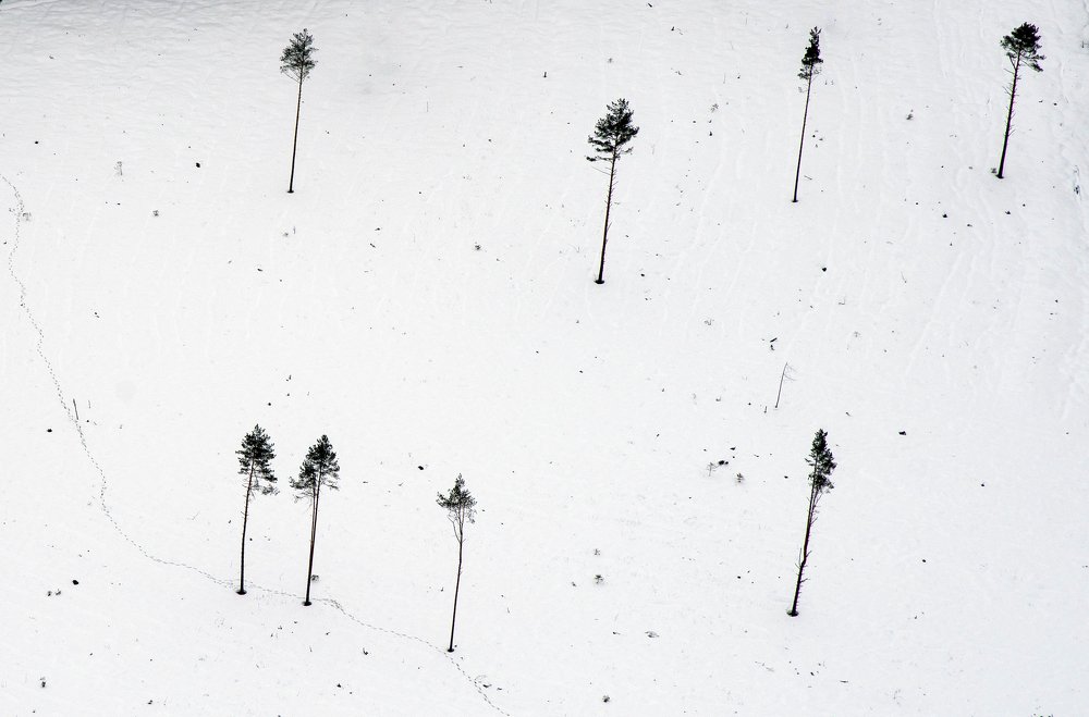 Photograph by Андрей Грибов