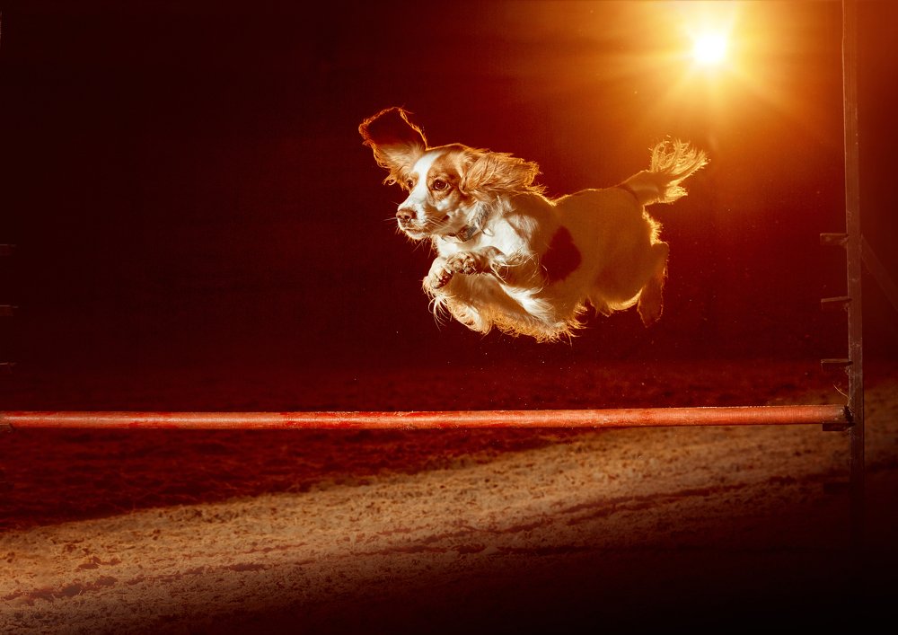 Photograph by Светлана Лето