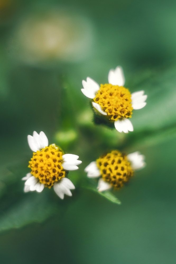 Photograph by Евгений Горланов