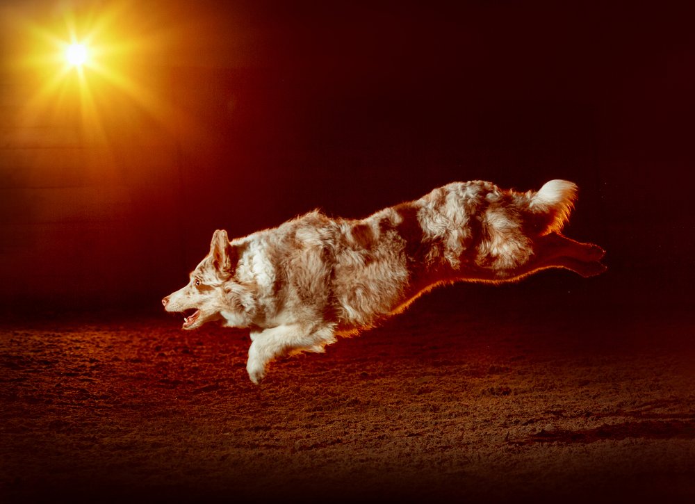 Photograph by Светлана Лето