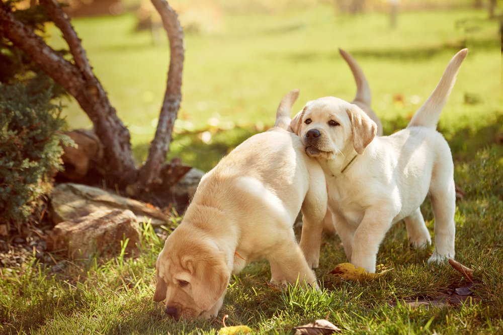 Photograph by Светлана Лето