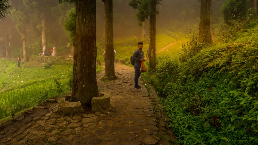 Фотография автора savitri Rawat