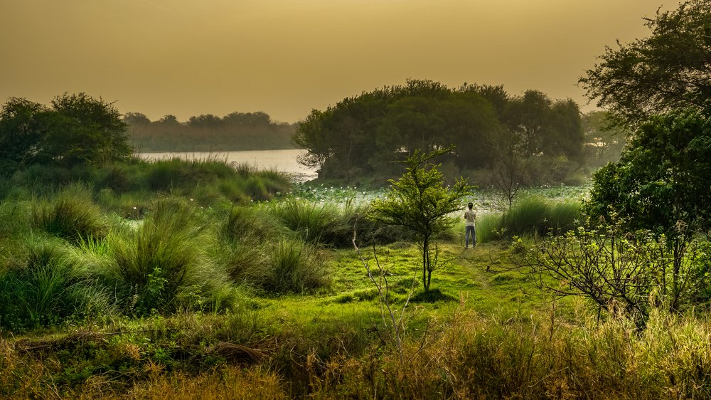 Фотография автора savitri Rawat