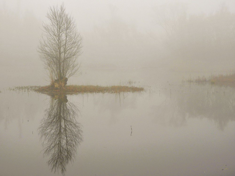 Photograph by Tim De Keirsmaeker