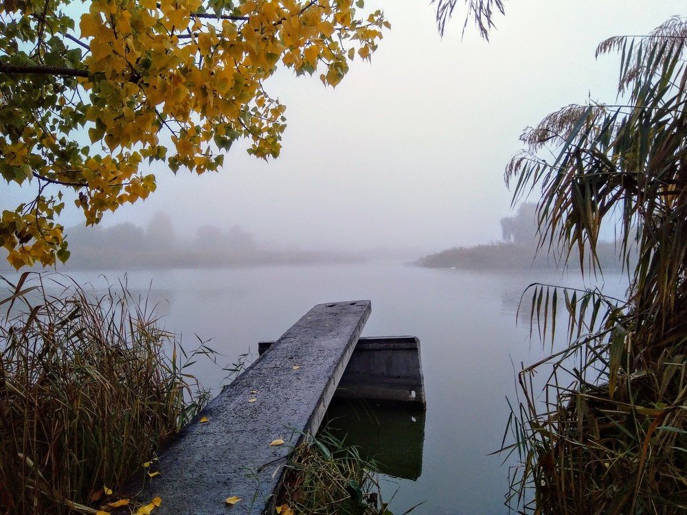 Photograph by Денис Лащ