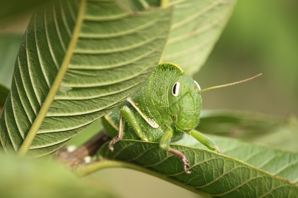 Photograph by Sudhakaran K K