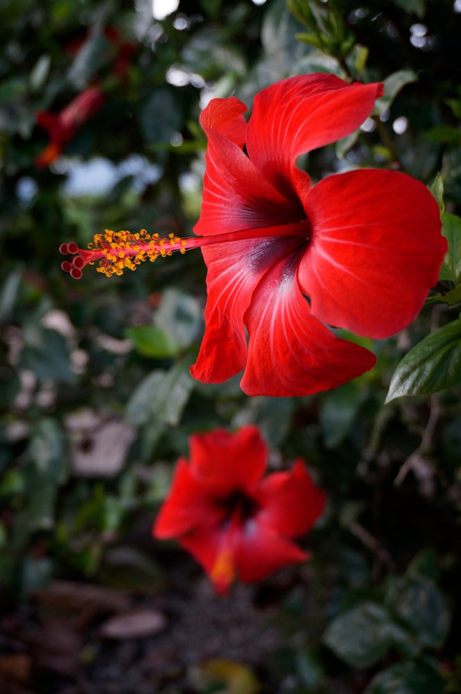 Photograph by Сергей Заболотских