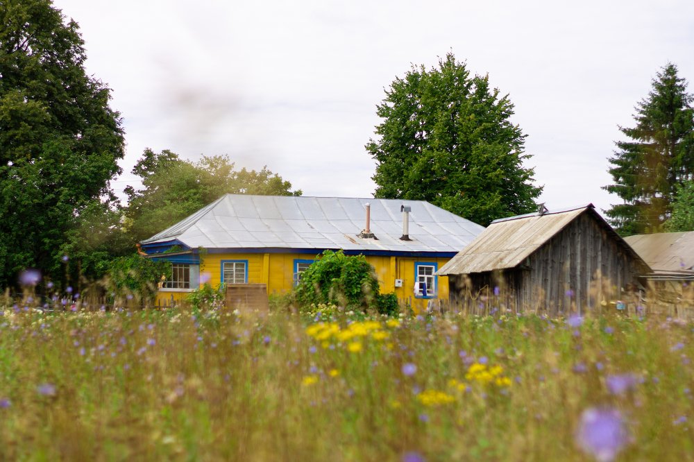 Photograph by Рашель Анурова