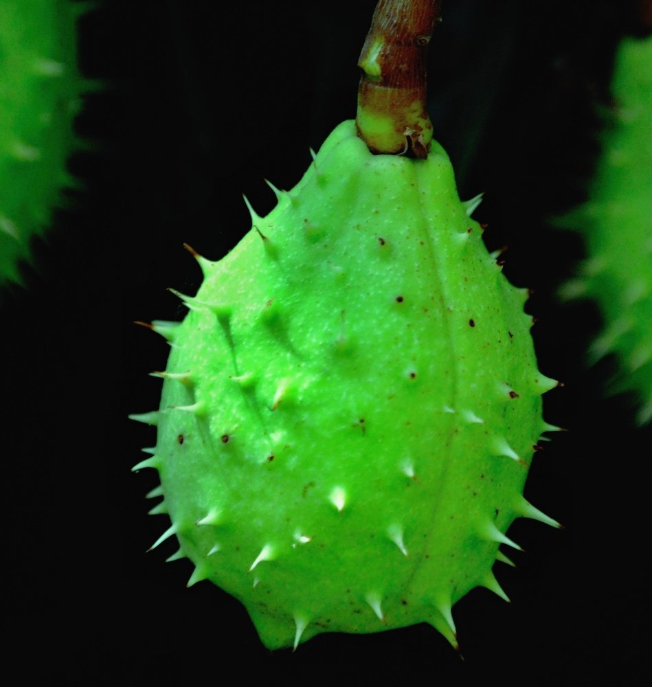 Photograph by Jaroslav Sameš