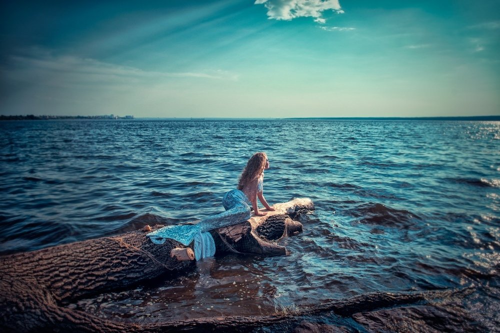 Фотография автора Анисимова Наталия