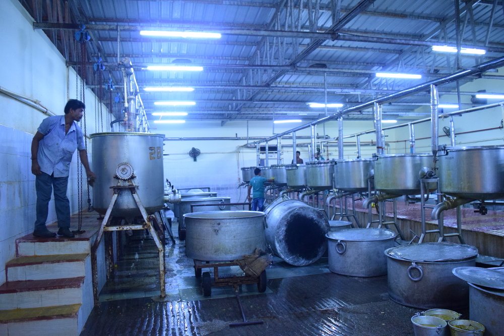 Photograph by shashiranjan prakash