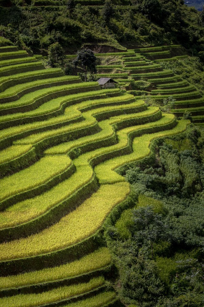 Photograph by Mahendra Bakle