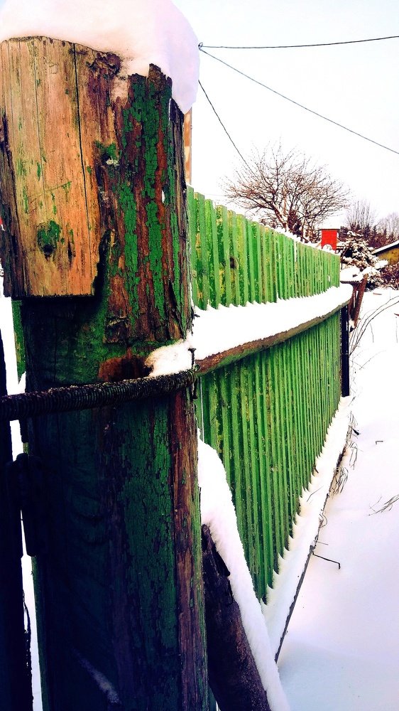 Photograph by Галина Гончарова