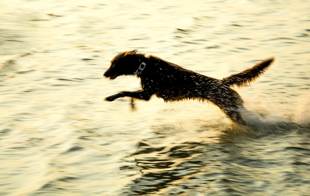 Photograph by Alex Galkin